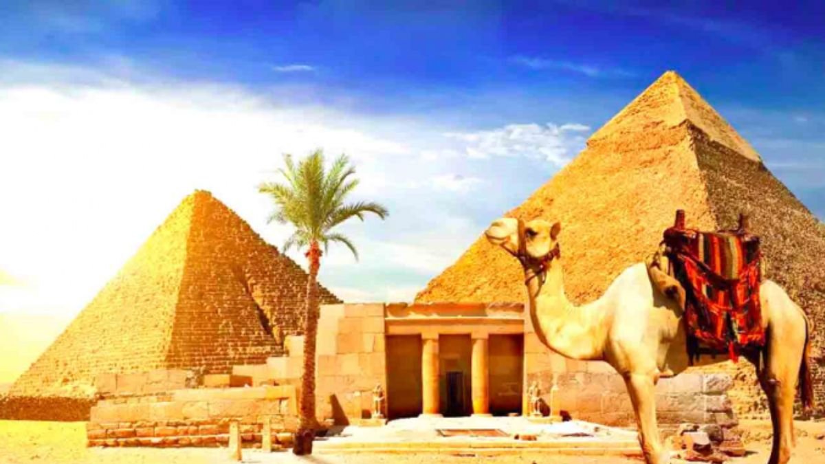 Volunteer Opportunities Through Pharaoh’s Daughter Neighborhood Council