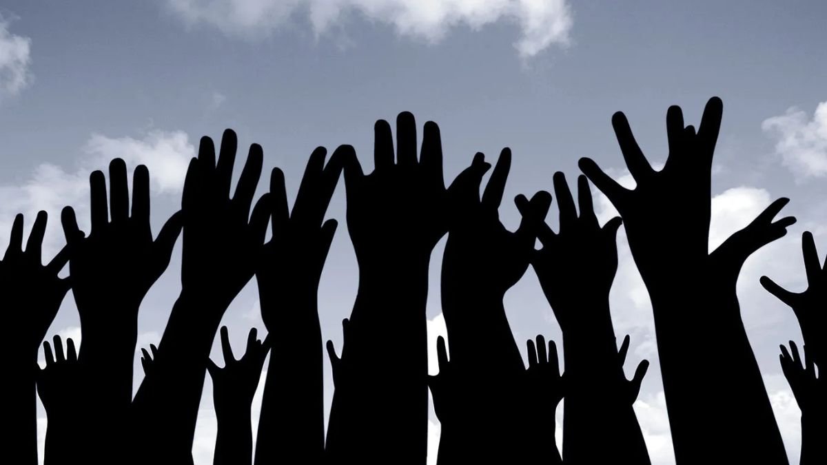 Transparency and Accountability in Neighborhood Councils