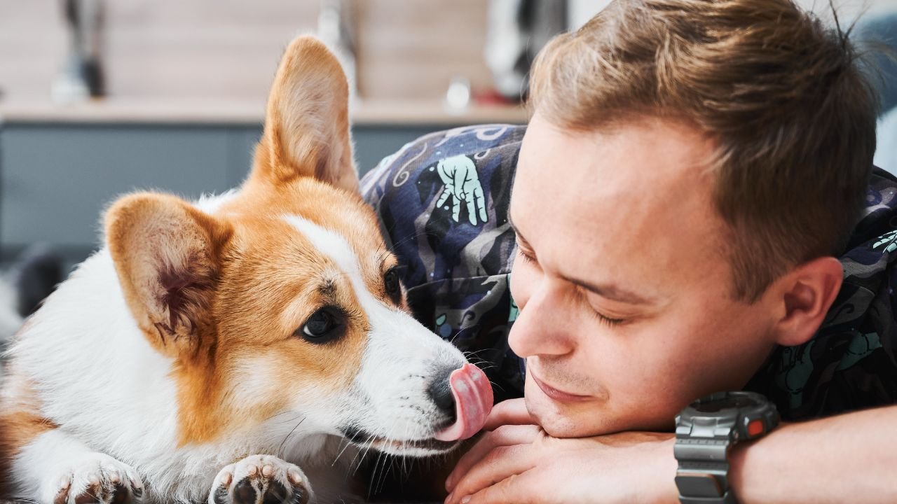 10 Things Your Dog Hates Hearing (Stop Saying These Now!)