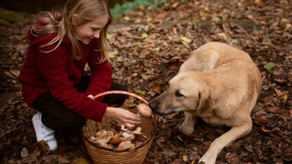 Avvertimento per gli amanti dei cani: chi si ferma per strada per accarezzare gli animali rischia di trascurare il loro tempo e la loro sicurezza, dicono gli specialisti