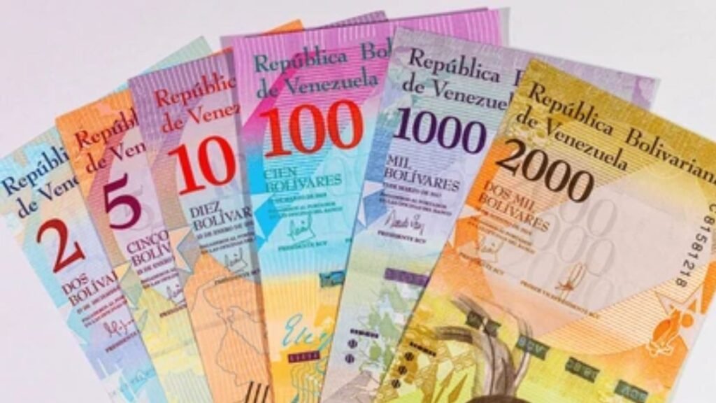 Calendario de pagos del Sistema Patria para marzo de 2026: Registro automático del IVSS y sistema de pago en línea