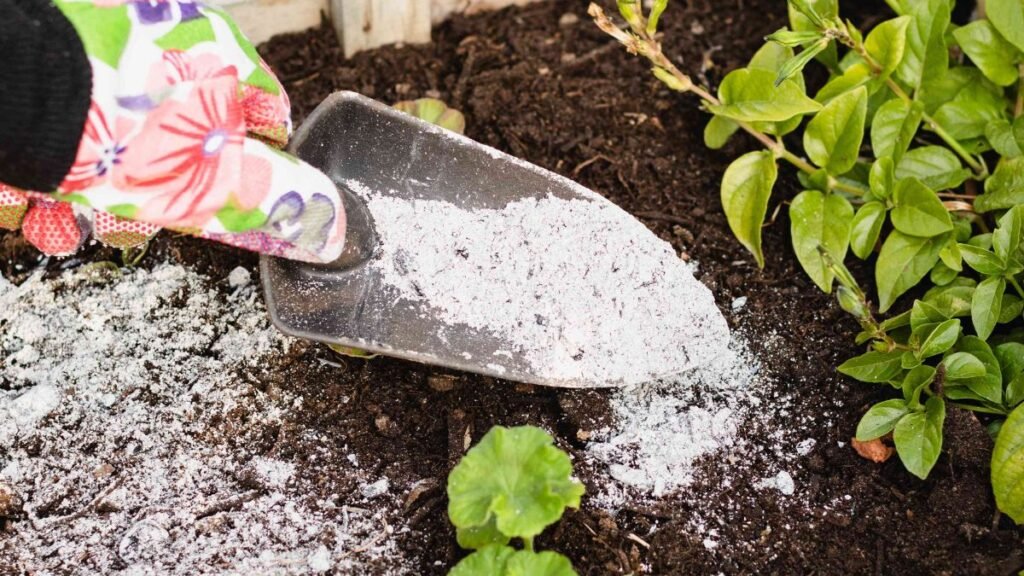 Thinking about using wood ash in your garden?