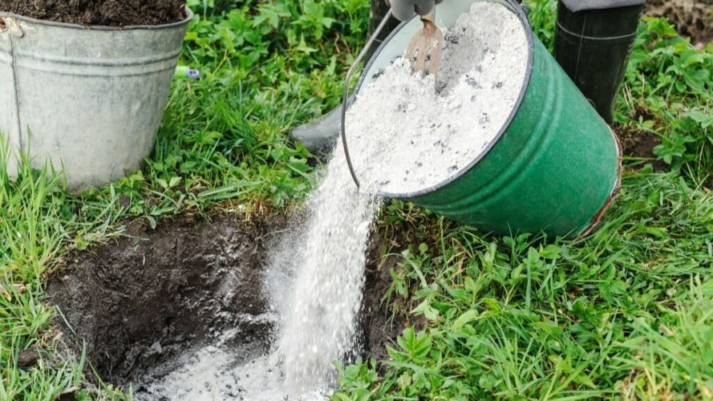 Thinking about using wood ash in your garden?