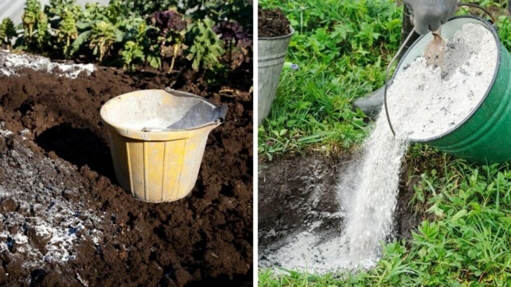 Thinking about using wood ash in your garden?